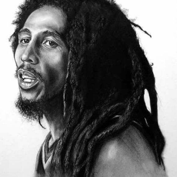 Meet your Posher, Marley - Picture 1 of 1